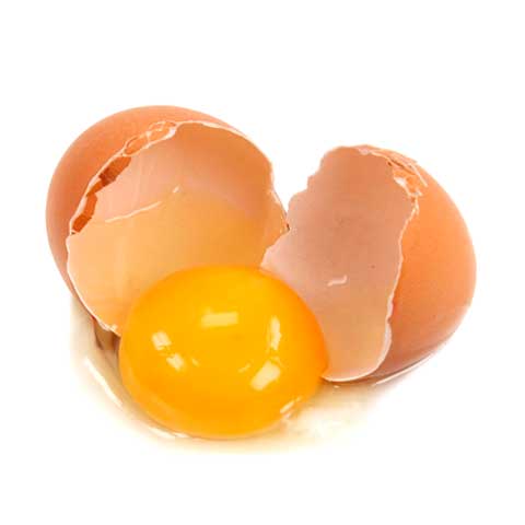 100 Gram Yumurta Akı/Beyazı